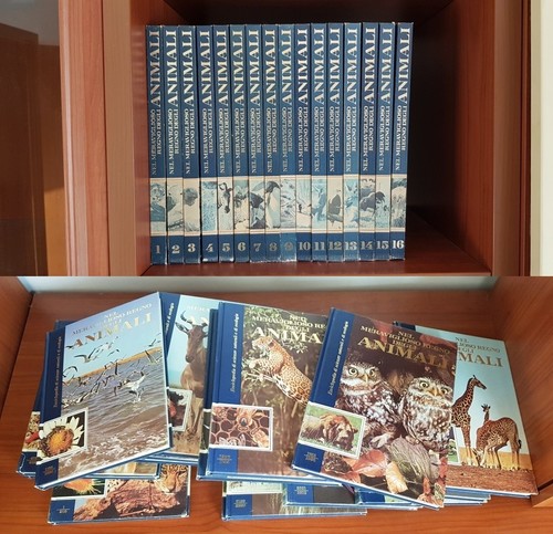 Enciclopedia nel meraviglioso - enciclopedia,