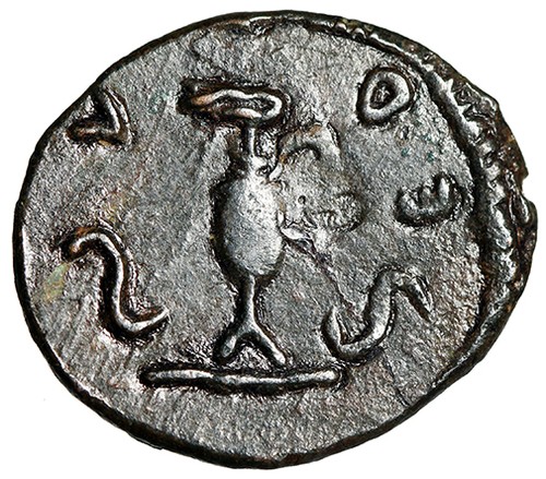 Barbarous tetricus radiate - tetricus,