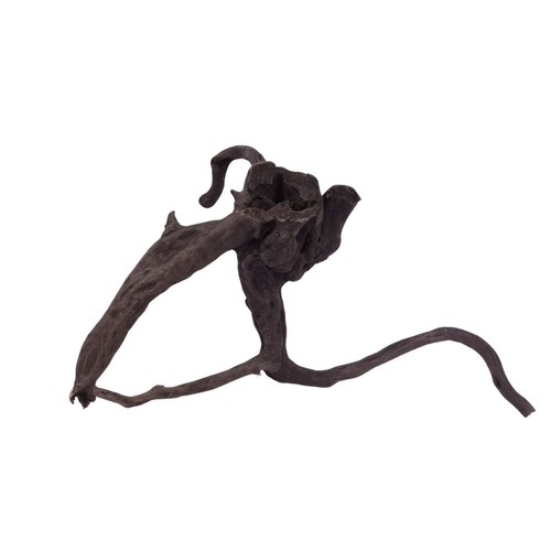 Radice acquario decorazione - radice,