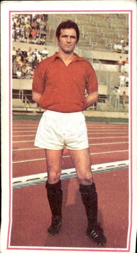 Figurina calciatori panini - calciatori,