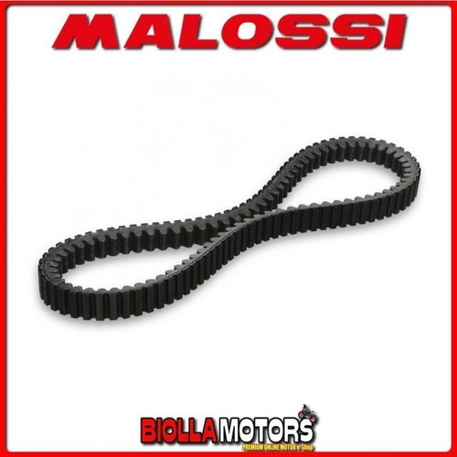6113396 cinghia variatore - 6113396,