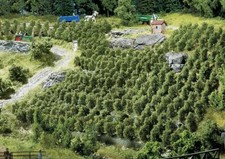 FALLER 181490 Vigneto con impalcature di sostegno (pz. 36 - altezza 30 mm)