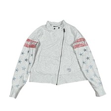 Harley Davidson grigio USA