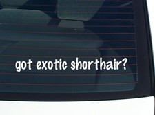 hai capelli corti esotici