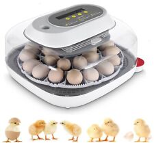 Incubatrice 24 uova