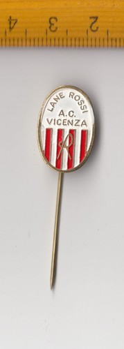 Distintivo spilla bastone