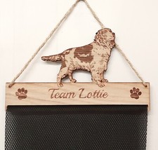 Springer Spaniel Porta Rosone