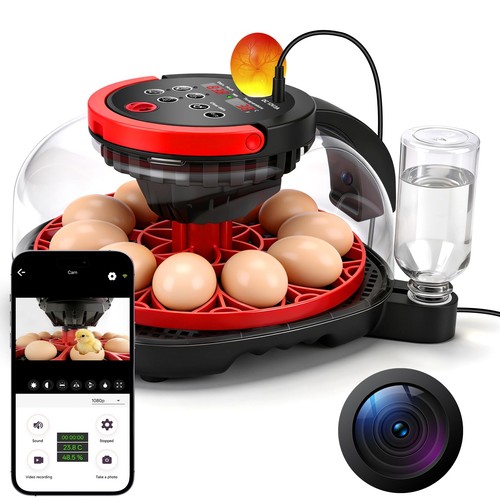 Chicken incubators for - incubators,