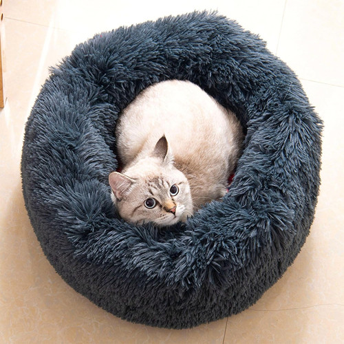 Gatto letto per cani 70cm - letto,