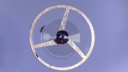 Balancier complet montre - complet,