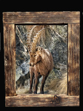 Quadro artigianale 30x40 con