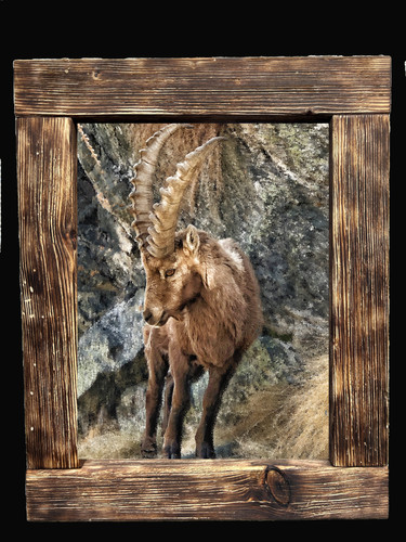 Quadro artigianale 30x40 con