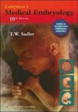 Langman's Medical Embryology Paperback T. W. Sadler
