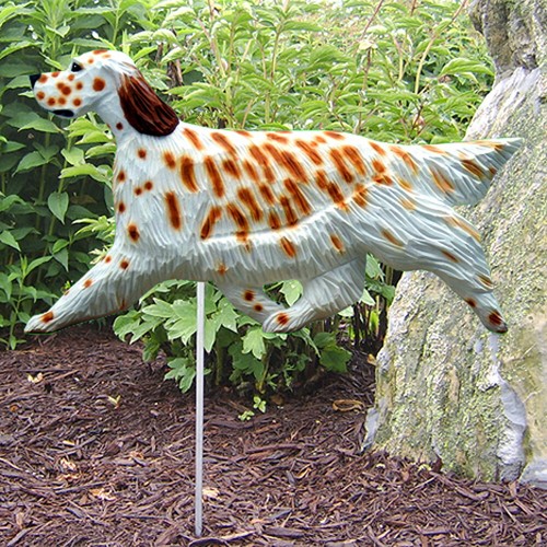 Inglese setter outdoor - setter,