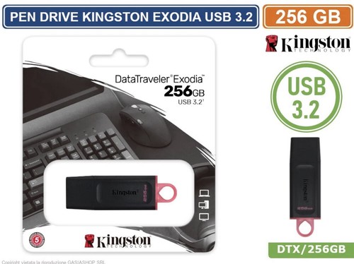 Pen drive kingston dtx 256gb - pen, dtx/256gb