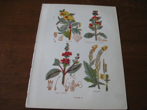 1915 stampa artistica - 1915,
