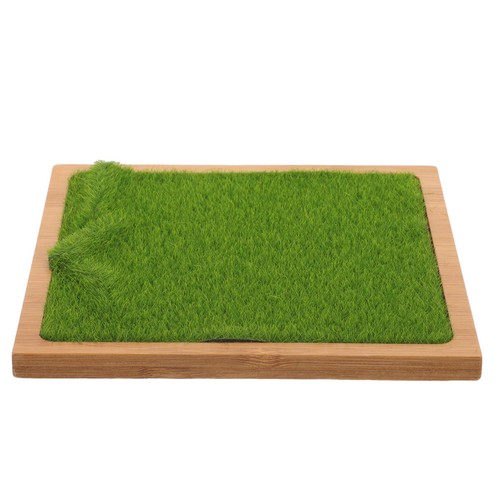 Gras-präsentationsständer
