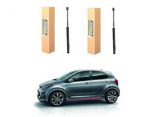 Pistoncini a GAS Portellone