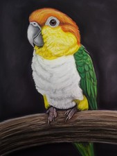 Dipinto originale CAIQUE