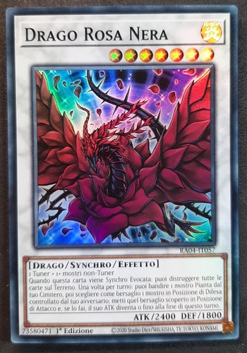Drago rosa nera super - nera, rara