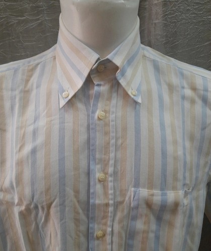 Camicia uomo puro - camicia,