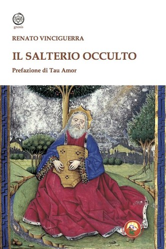 Salterio occulto - il,