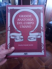 Libro Grande Anatomia del Corpo Umano Paolo Mascagni Editore A.B.E s.r.l  1993