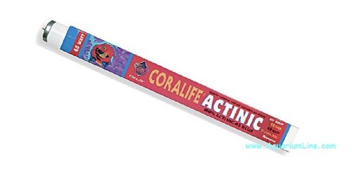 Coralife neon actinic 25w - coralife,