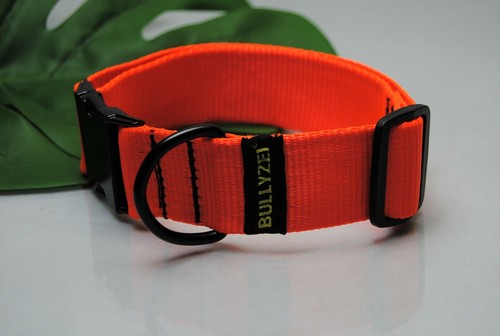 Collare largo taglia s - collare,