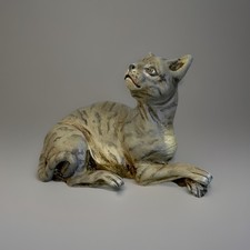 Cat tavern scene Neapolitan