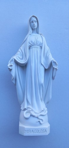 Statua madonna miracolosa - statua, in