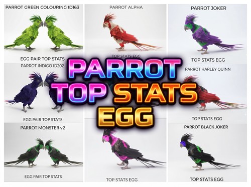 Coppia uova parrot - coppia,