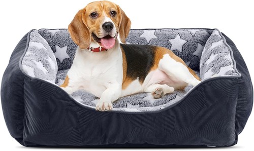 Cuccia cane letto - cane, cani