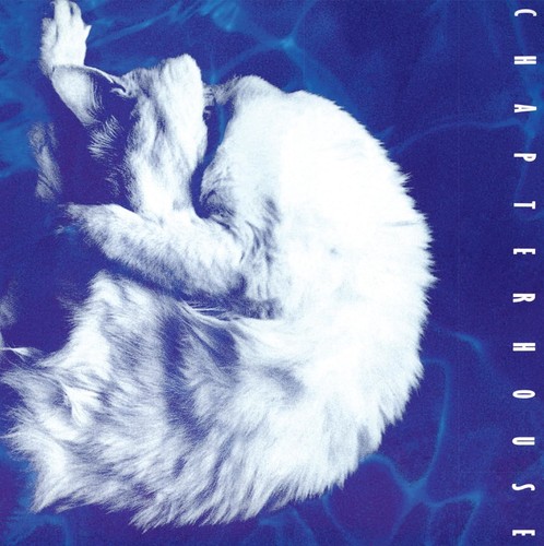 Vinile chapterhouse - vinile,