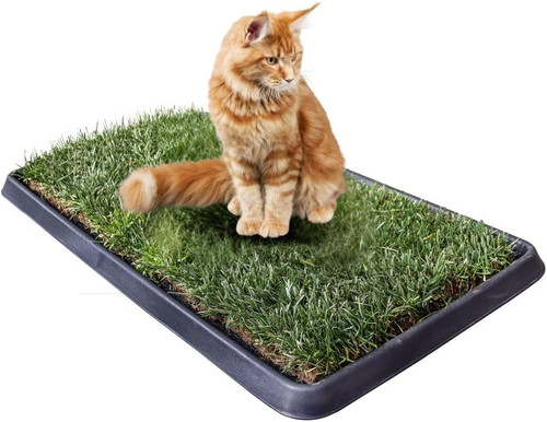 Gatto kit cuccia - kit,