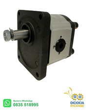 POMPA IDRAULICA Olio GRUPPO 2