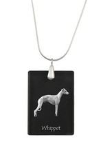 Whippet piccolo inglese - piccolo,