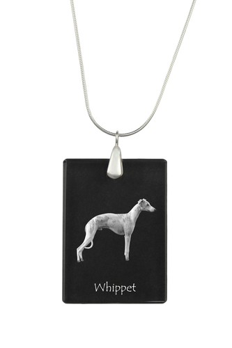 Whippet piccolo inglese - whippet,,