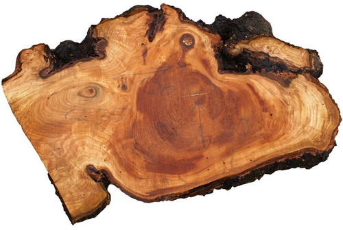 Fetta legno radica ciliegio - radica,