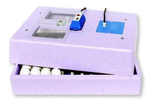 Incubatrice automatica con - automatica,