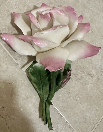 Rosa con bocciolo - con, pregiata