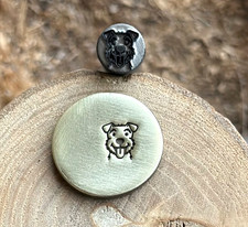 Welsh Terrier Razza Cane