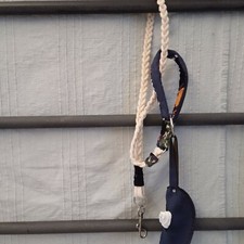 collare e guinzaglio cane