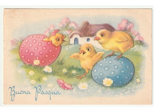 1957 pasqua cartolina - pasqua,