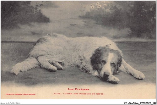 Ailp6 0582 cane - ailp6-0582,