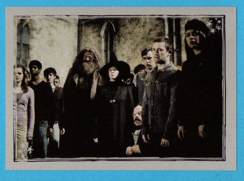 Harry potter principe - e, il