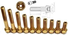 Viti IN Titanio Oro M6 X