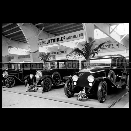 Photo 029615 isotta - photo,
