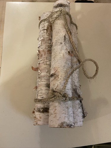 Tronchi betulla bianchi - di, 3