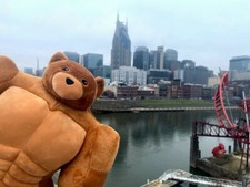 ORSACCHIOTTI MUSCOLARI THINK